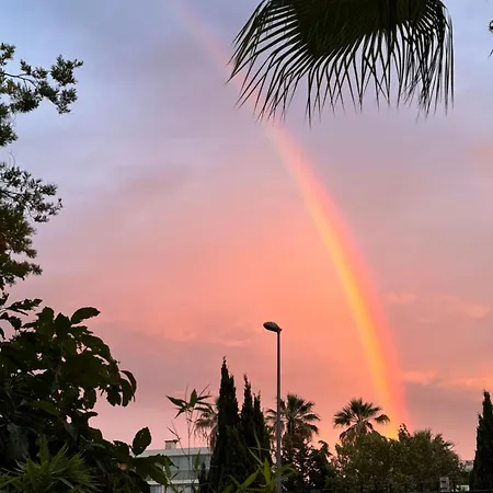 парк круазет , 3 комнаты , с террасой и паркингом , * カンヌ